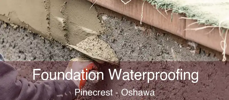  Foundation Waterproofing Pinecrest - Oshawa