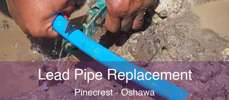  Lead Pipe Replacement Pinecrest - Oshawa